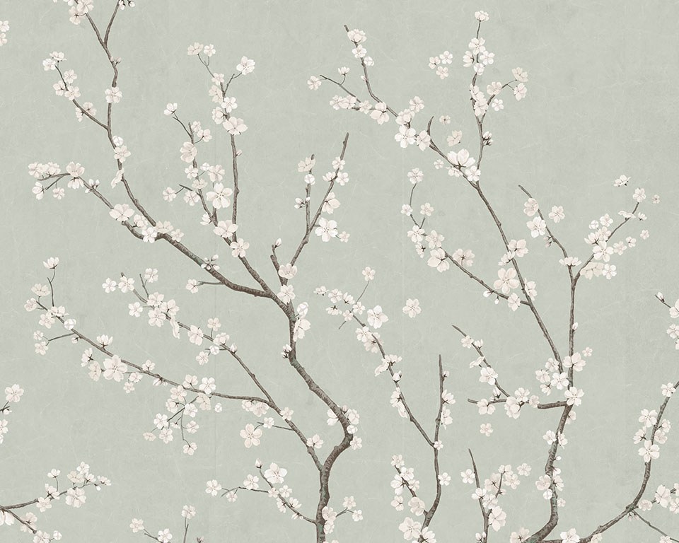 Sakura Verde aqua - Carta da parati